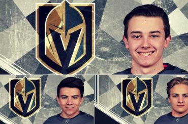 Vegas Golden Knights 2017 NHL Entry Draft Selections