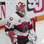 Gustavsson robs Carey with stick save
