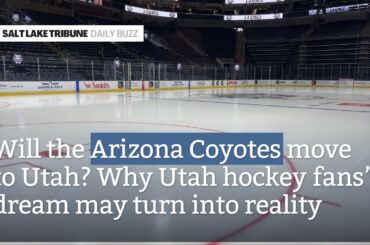 Will NHL's Arizona Coyotes move to Utah? - Daily Buzz