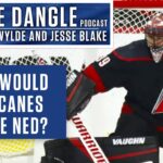 What Did You Think Of The Carolina Hurricanes Sending Nedeljkovic To The Detroit Red-Wings?