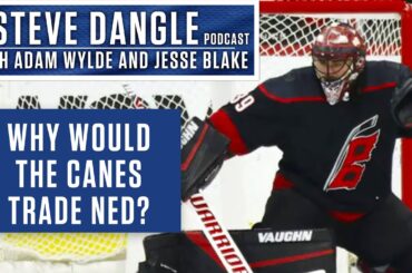 What Did You Think Of The Carolina Hurricanes Sending Nedeljkovic To The Detroit Red-Wings?