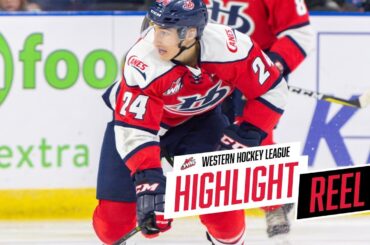 2018-19 HIGHLIGHT REEL | Dylan Cozens