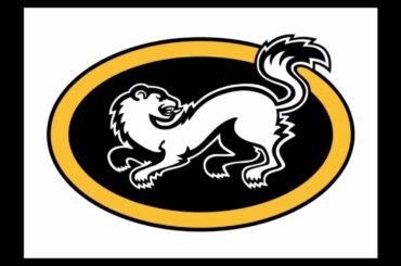 Saku Mäenalasen haastattelu Kärpät-SaiPa ottelun jälkeen 16.11.2015