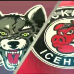 Game Highlights Jan. 28 Chicago Wolves vs. Rockford IceHogs