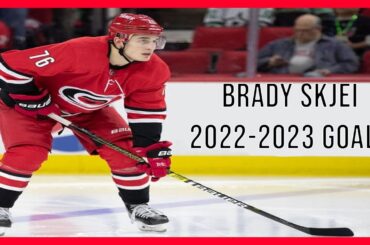 Brady Skjei all goals 2022-23 (Regular Season + Playoffs)