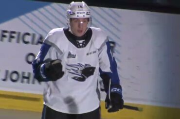 SAINT JOHN SEA DOGS VS CAPE BRETON EAGLES MAR 7TH, 2023