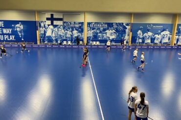 MJT T14 ErVi-Team Manninen