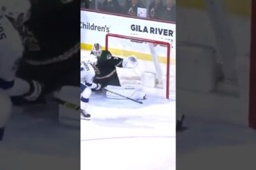 Goalie Performance of the year??🤔 Connor Ingram stonewall vs #lightning #shorts #nhl #hockey