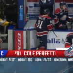 Cole Perfetti First OHL playoff goal