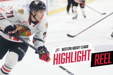 2019-20 HIGHLIGHT REEL | Cross Hanas