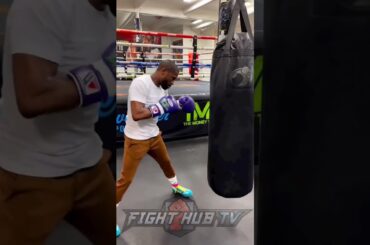 MASTER AT WORK! Mayweather thuds heavy bag with perfect technique!