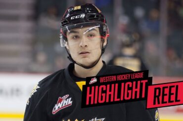 2017-18 HIGHLIGHT REEL | Evan Weinger