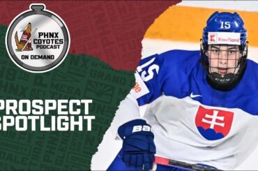 Is Dalibor Dvorský a prospect the Arizona Coyotes could consider with the 6th pick in the NHL Draft?