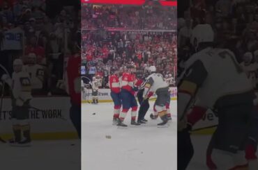 Tempers Flare As the Golden Knights Put The Panthers On The Brink 👀