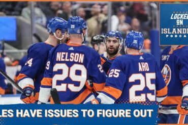The New York Islanders Have Some Needs They Need to Address This Offseason
