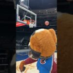 Bernie’s NBA Mixtape #shorts #nba #nhl