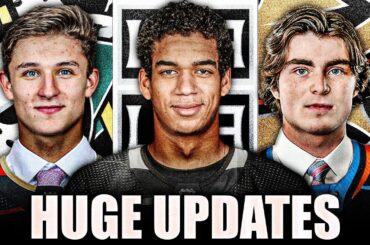 HUGE PROSPECTS UPDATE—LA Kings & Anaheim Ducks News (Quinton Byfield, Trevor Zegras, Jamie Drysdale)