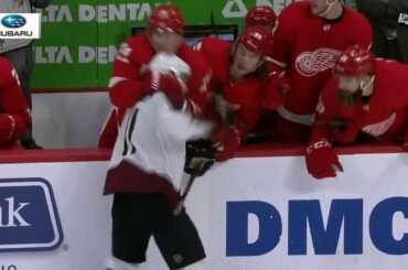 Larkin grabs Calvert from the bench, Bertuzzi sucker punches