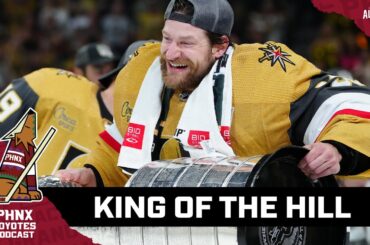 Adin Hill is a Stanley Cup champion… Did the Arizona Coyotes make a mistake letting him go?