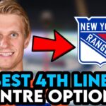 New York Rangers BEST 4th LINE CENTRE OPTION! 6'6 CENTRE!