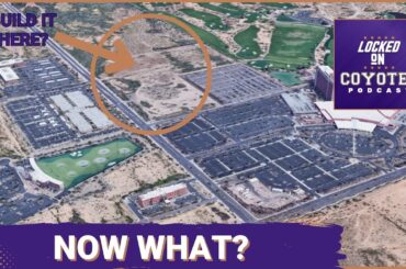 So the Coyotes lost... Now What?