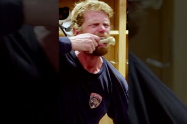 Let the Battle of the Staals begin 🦴