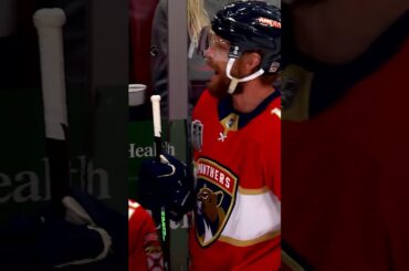 New exclusive audio from the Florida Panthers bench #shorts