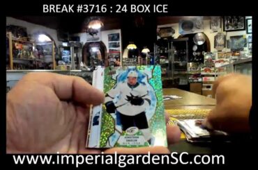 IMPERIAL GARDEN SPORTS DAILY STREAM! LETS GO!