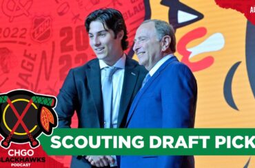 Potential Chicago Blackhawks Draft Picks to Follow Connor Bedard Pt. One | CHGO Blackhawks Podcast