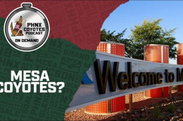 Mesa could be a potential home for the Arizona Coyotes but NOT at Fiesta Mall