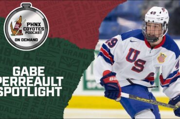 Could NHL Draft prospect Gabe Perreault be a fit for the Arizona Coyotes at pick #12?