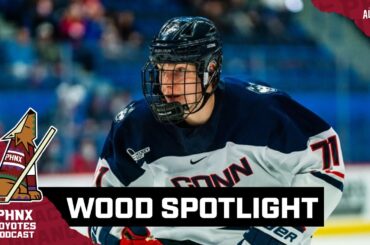 Is NHL Draft Prospect Matthew Wood a fit for the Arizona Coyotes?