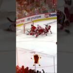 Nedeljkovic's Incredible Jump Save Against Blackhawks! #hockey #shorts #nhl