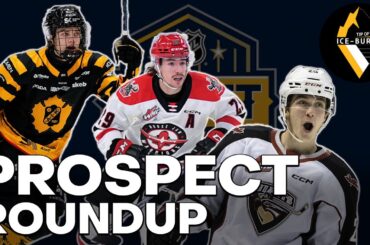2023 NHL Draft Prospect Roundup (Feat. Jacob Punturi)