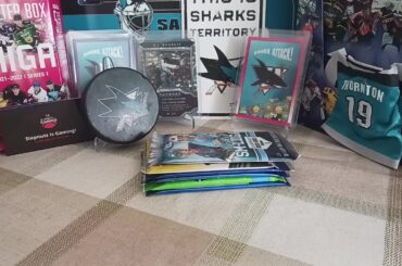 6 Packs of Cards #26: Nice Retro & pre-rookie of a 2023 Stanley Cup finalist