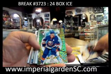 IMPERIAL GARDEN SPORTS DAILY STREAM! LETS GO!