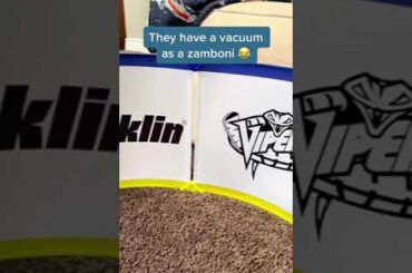 The Zamboni is the perfect touch 😂 (via ziobrosports/IG) #shorts