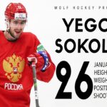 The Best Of Yegor Sokolov | Hockey Highlights | HD