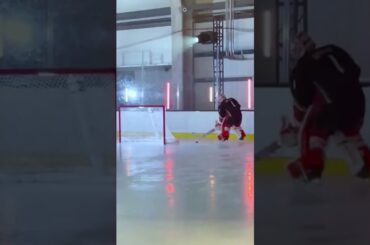 Lukas Dostal Michigan Goal 🔥