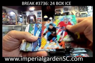 IMPERIAL GARDEN SPORTS DAILY STREAM! LETS GO!