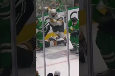 Dellandrea crosschecks Theodore in the back