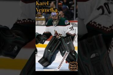 BUY LOW ON KAREL VEJMELKA
