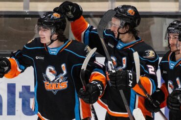 Jamie Drysdale Nets OT Winner