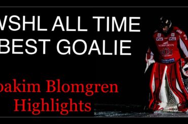 Joakim Blomgren Hockey goalie Highlights