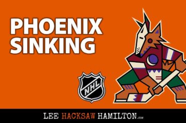 Do the Arizona Coyotes remain in Phoenix? Should they move to Quebec City and their new NHL arena?