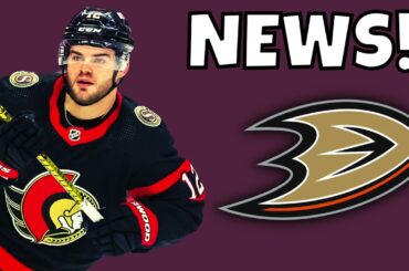 Alex Debrincat TRADE To The Anaheim Ducks? | Anaheim Ducks Trade Rumors - NHL Trade Rumors 2023