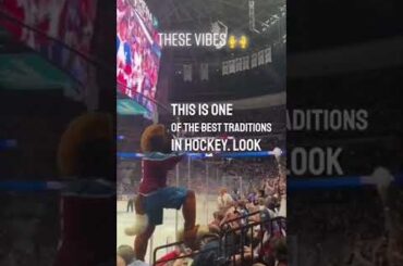 Blink 182 tradition for the Colorado Avalanche 🎶