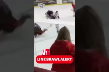 Chaos Ensues as Epic Line Brawl Hockey Fight Takes Over Game #shorts #linebrawl