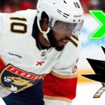 Anthony Duclair Highlights | Welcome to the San Jose Sharks