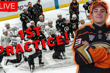 Leo Carlsson's 1st Practice as an Anaheim Duck! (LIVE from 2023 Rookie Development Camp)